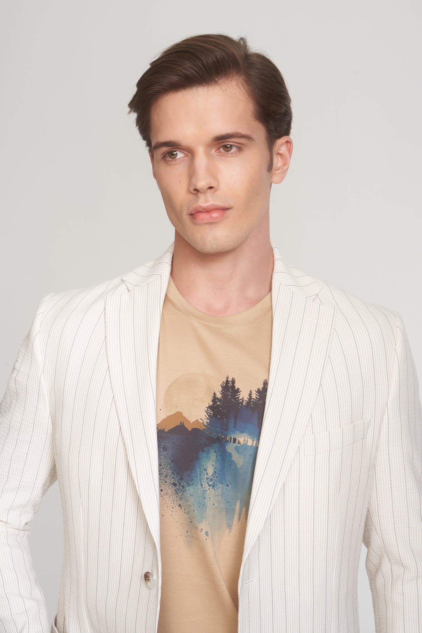 Beige Grey Stripped Sport Jacket